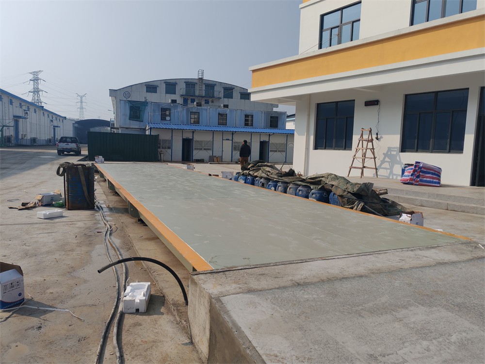 微信圖片_20241212140716