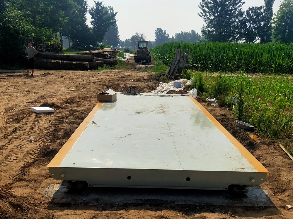 蘭考閆樓郭莊糧站2