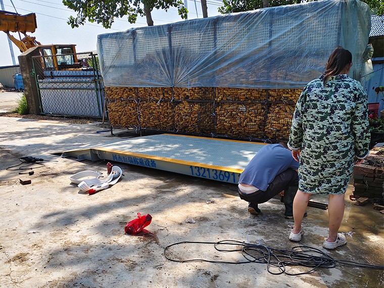 蘭考養(yǎng)殖場3